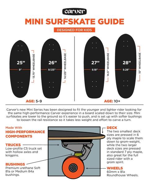 Carver Skateboards - 28" Rail Blazer - C5 Complete - The Mysto Spot