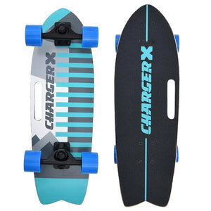 Charger-X Pro 31" Surfskate - Dora