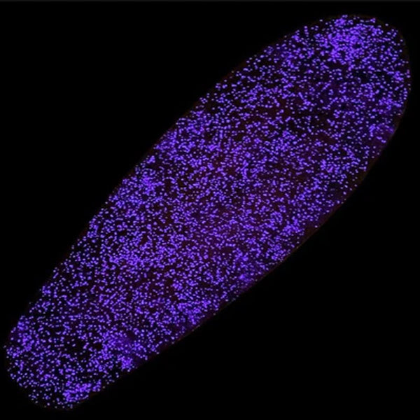 Lucid Grip - Glow - Purple