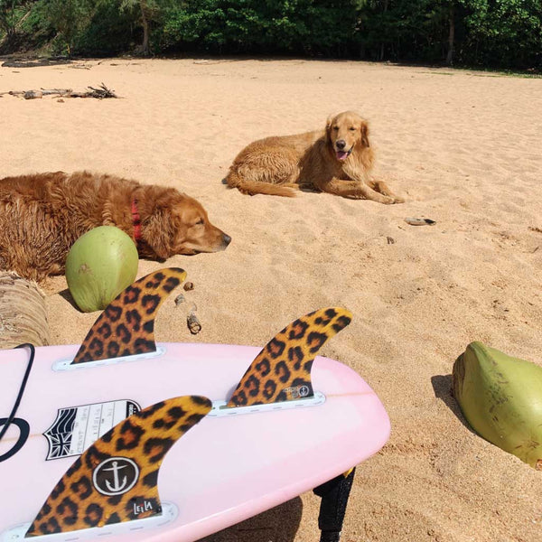 Leila Hurst Cheetah - Small (Futures) - Captain Fin Co - UK