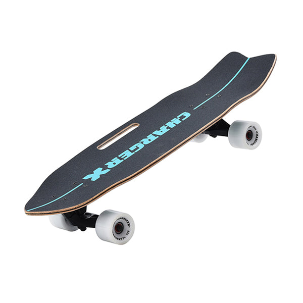 Charger-X Pro 31" Surfskate - Dora