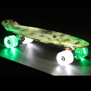 Sunset Skateboards - Sunset Skateboards - 22" Graphic - Camo - Products - The Mysto Spot